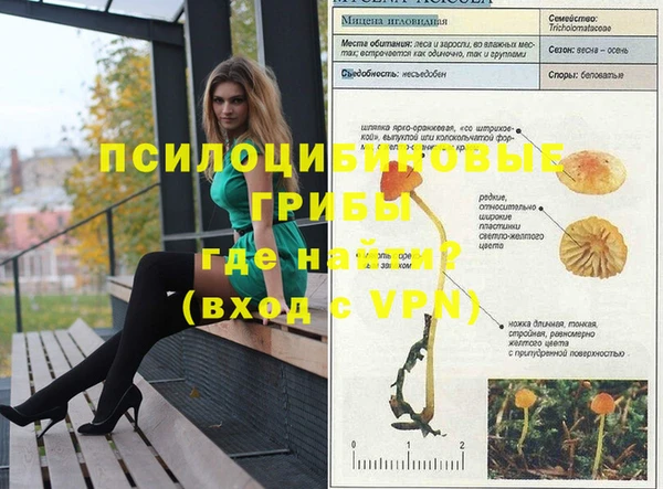 дживик Алексеевка