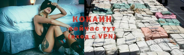 СК Алзамай