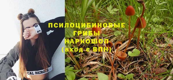 СК Алзамай
